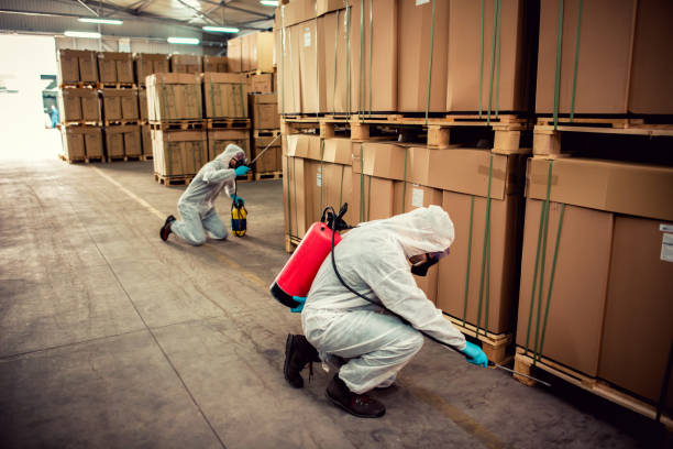 Best Exterminator Services  in Redland, TX