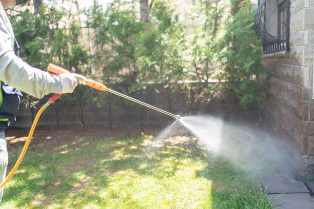 Best Insect Control  in Redland, TX