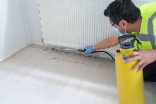 Flea Control Services in Redland, TX